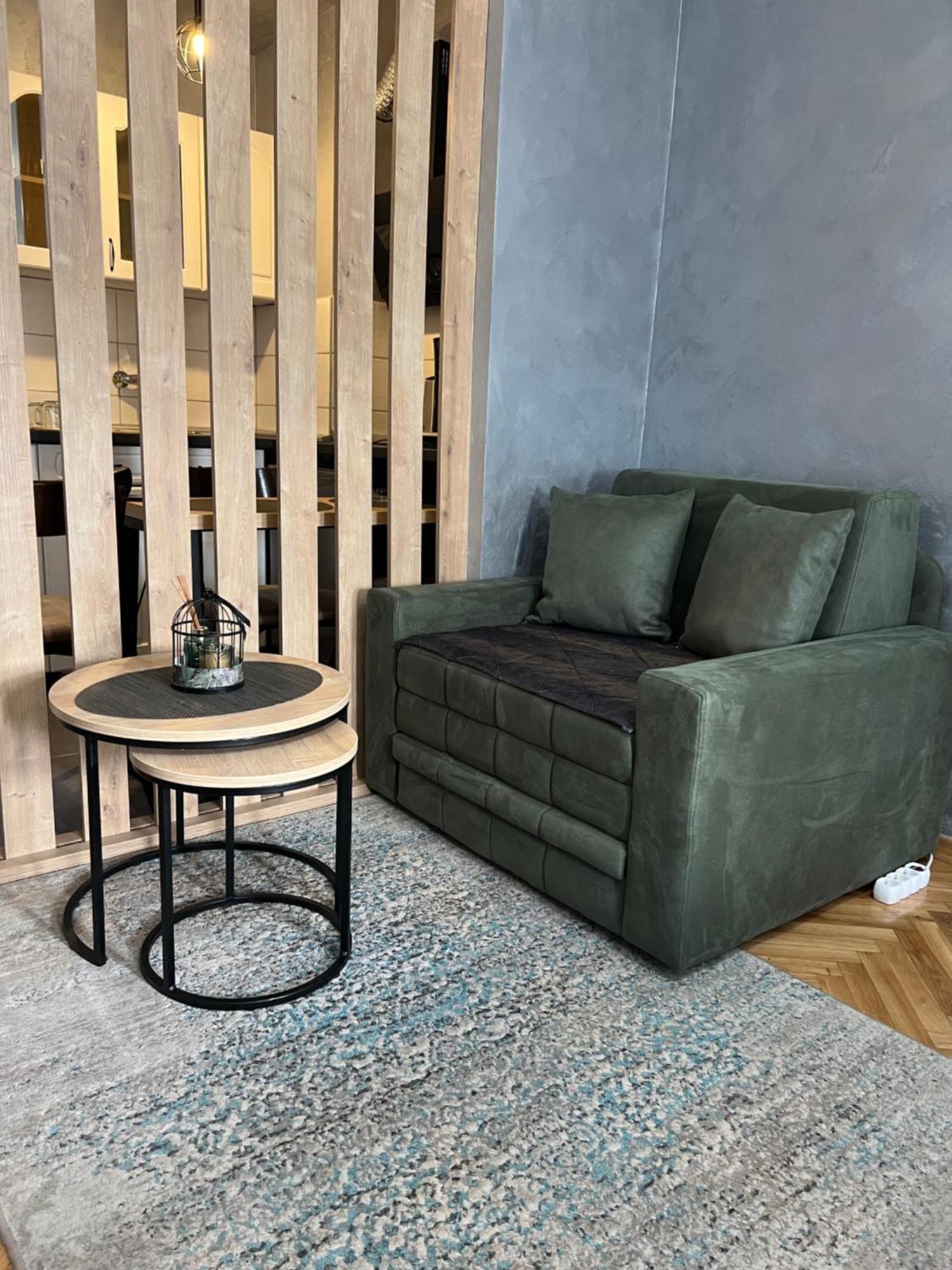 Apartman Didi2- Free Private Parking-Garage Novi Sad Exteriör bild